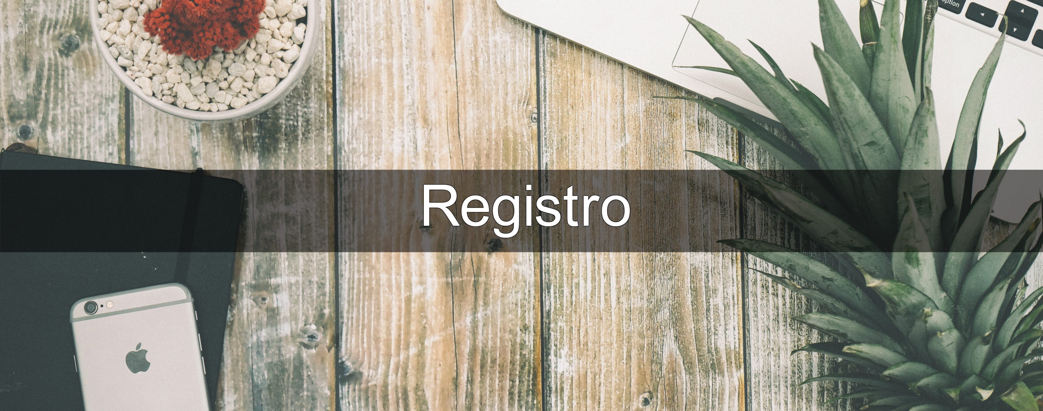 registro1