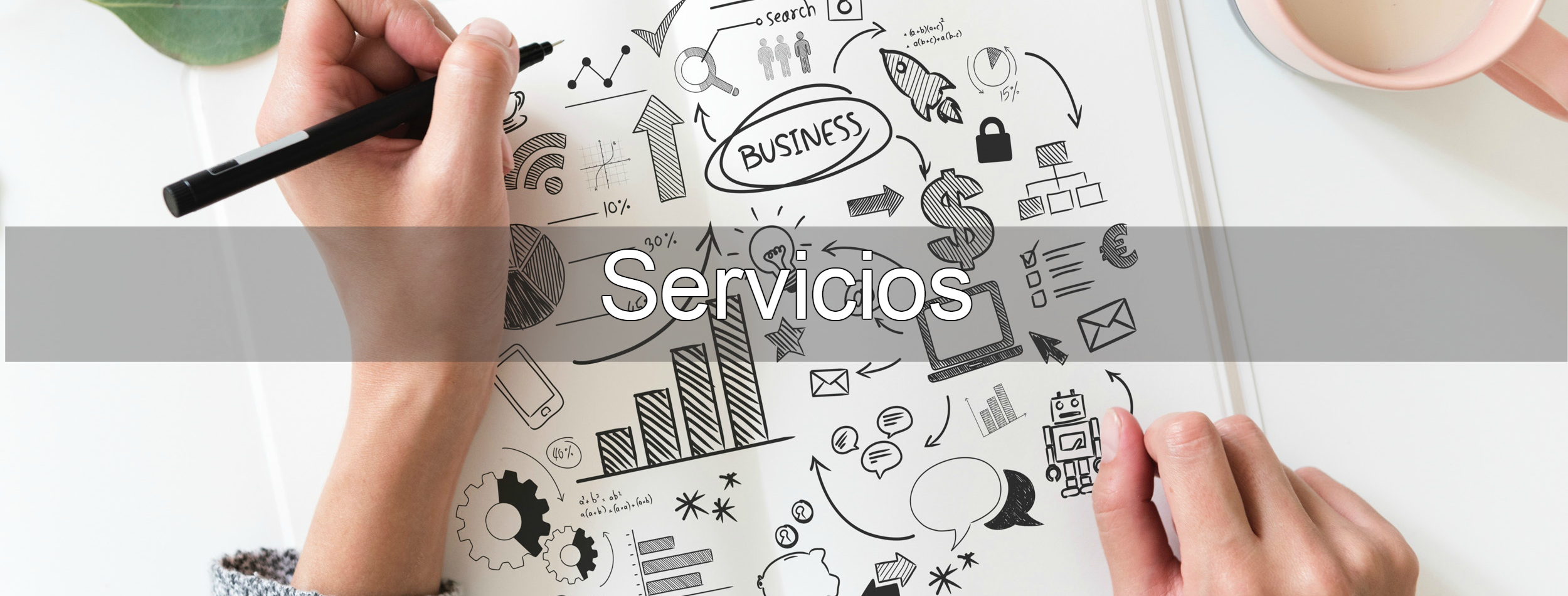 servicios1